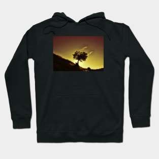 Mountain Tree Silhouette Hoodie